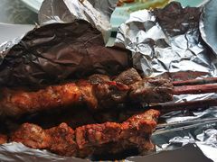 红柳烤串-巴依老爷新疆美食(工体旗舰店)