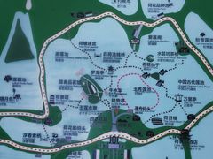-荷塘月色湿地公园·向阳花洲