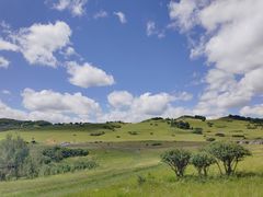 -塞罕坝国家级自然保护区