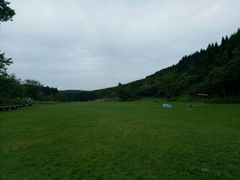 -武陵山森林公园