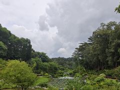 -东莞植物园