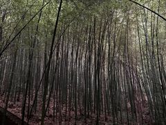 -敬亭山风景名胜区