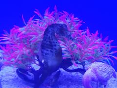-上海海昌海洋公园