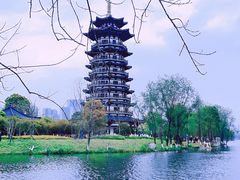 -洋湖国家湿地公园