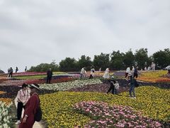 -沈阳植物园