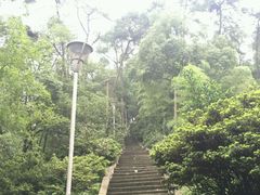 -老幺泉水鸡