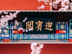 -桃花堤公园