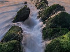 -海堤纪念公园