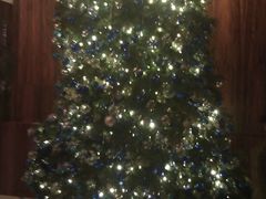 -香港尖沙咀凯悦酒店