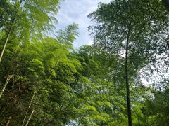 -藏龙百瀑风景区