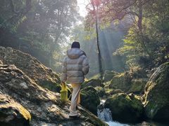-石台牯牛降景区