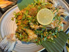 -Ameigo梅果·云贵川bistro(长宁来福士店)