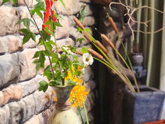 -白塘生态植物园