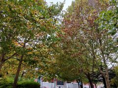 -中国政法大学(昌平校区)