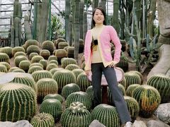 -南山植物园