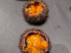 -海鲜e族(马王堆店)