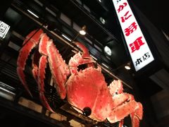 -蟹料理 北海道かに将軍(札幌本店)