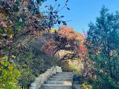 -北京西山国家森林公园