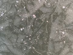 -马家湾湿地公园