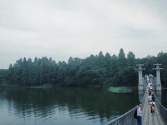 -东湖落雁景区
