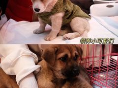 -凯德广场(西城店)