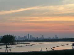 -合肥滨湖国家森林公园