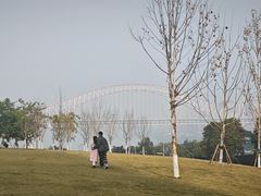 -重庆市江北嘴中央商务区中央公园