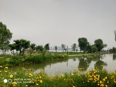 -东湖落雁景区