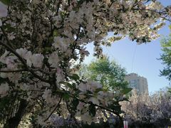 -海棠花溪(元大都城垣遗址公园)