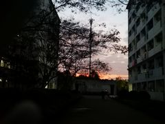 -徐小包(黎阳in巷店)