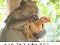 -椰子下蛋(南锣鼓巷店)