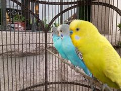 -老味道民宿(栈桥店)