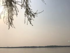 -丁香湖公园