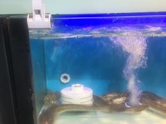-盒马鲜生(杭州运河上街店)