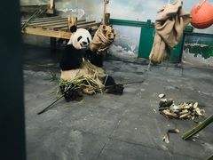 -无锡动物园·太湖欢乐园