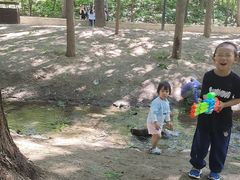 -白水寺森林公园