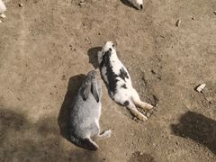 -苏州太湖西山岛开心农场
