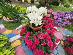 -上海鲜花港
