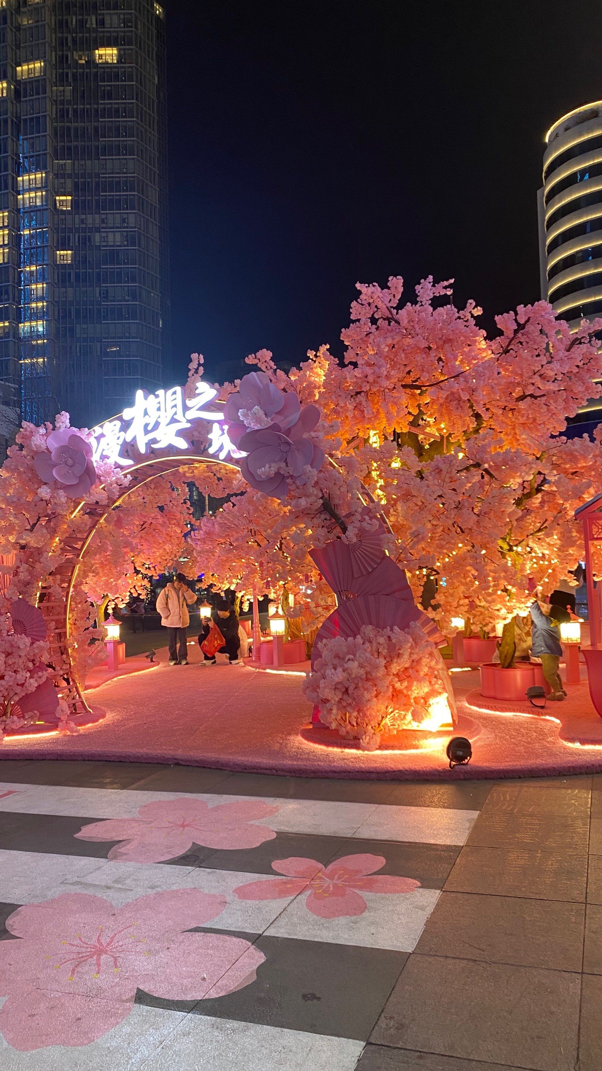 苏宁广场的夜景