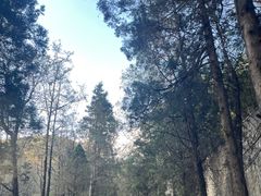-苍山感通索道