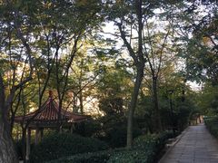 -观象山公园