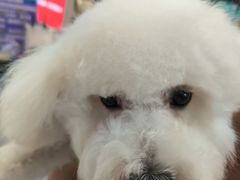 -宠物家(角门东店)