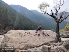 -赵记煎饼卷大葱(泰山大街店)