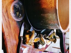 -土蚝·高压锅生蚝(百姓美食街店)