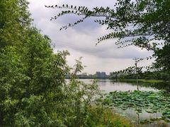 -盘龙城国家考古遗址公园