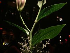 -花马天堂云南餐厅 Lost Heaven(高邮路店)