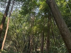 -峨眉山报国寺