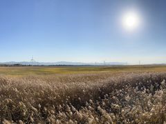 -野鸭湖国家湿地公园