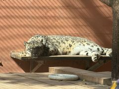 -青藏高原野生动物园