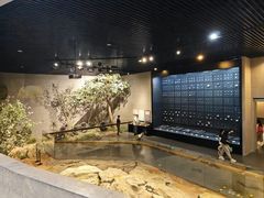 -北京周口店北京人遗址博物馆